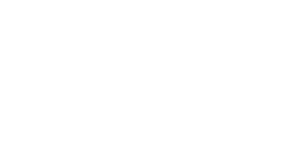 Logo des Finanzdienstleisters Capital Pioneers
